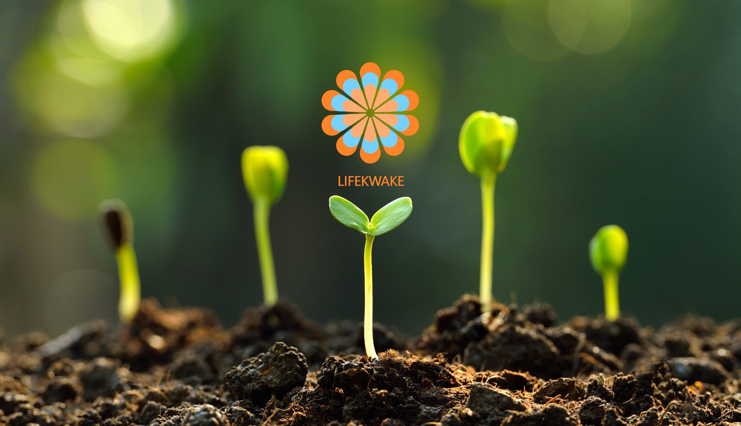 Lifekwake — Transforming Crisis into Growth